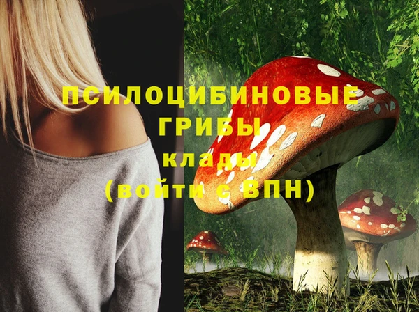 дживик Орск